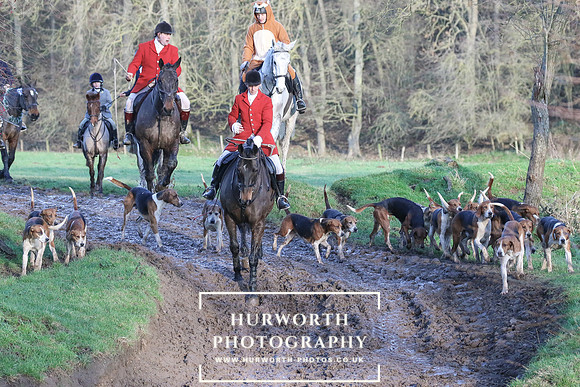 Hurworth Hunt 648