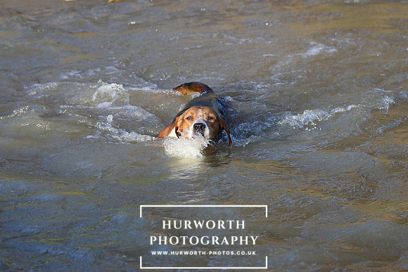 Hurworth Hunt 676