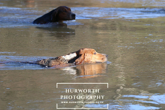 Hurworth Hunt 677
