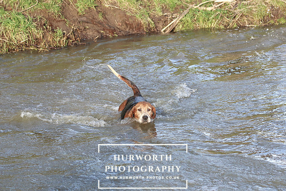 Hurworth Hunt 668