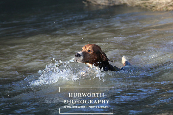 Hurworth Hunt 688
