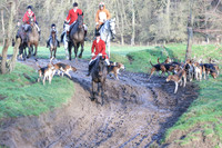 Hurworth Hunt 650