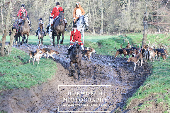 Hurworth Hunt 650