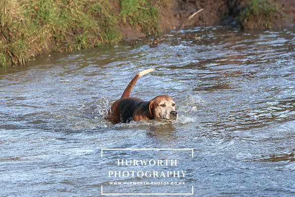 Hurworth Hunt 663