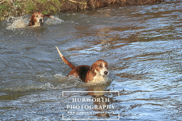 Hurworth Hunt 665