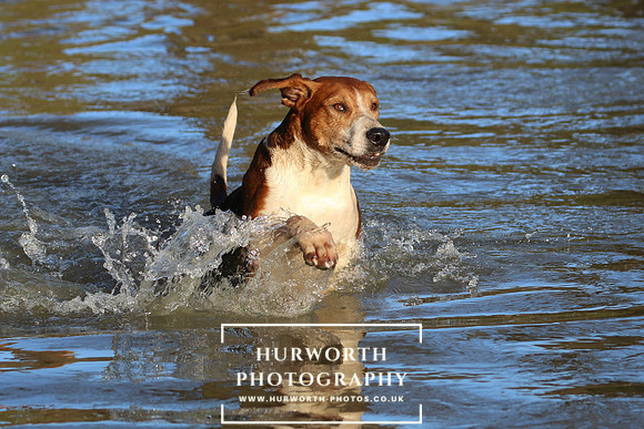 Hurworth Hunt 680
