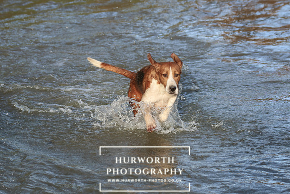 Hurworth Hunt 670