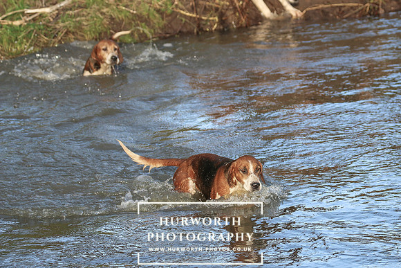 Hurworth Hunt 666