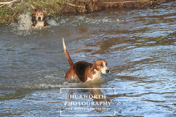 Hurworth Hunt 664