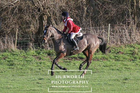 Hurworth Hunt 453