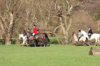Hurworth Hunt 460
