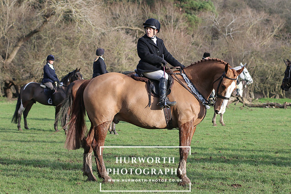 Hurworth Hunt 610