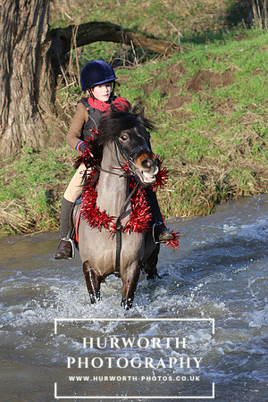 Hurworth Hunt 809