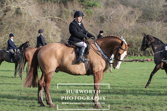 Hurworth Hunt 611
