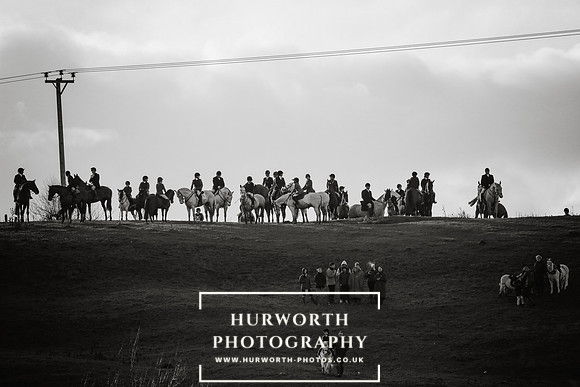 Hurworth Hunt 466