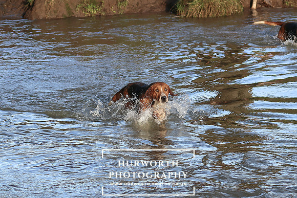 Hurworth Hunt 671