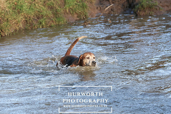 Hurworth Hunt 662