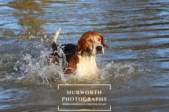 Hurworth Hunt 682
