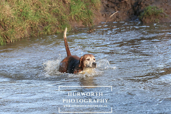 Hurworth Hunt 661