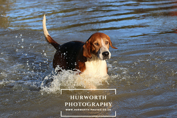 Hurworth Hunt 686
