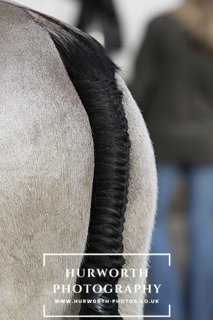 Hurworth Hunt  001