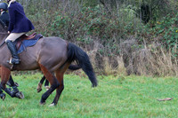 Hurworth Hunt 280
