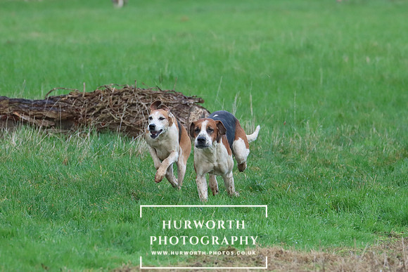 Hurworth Hunt 286