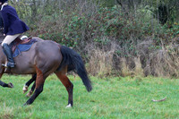 Hurworth Hunt 281