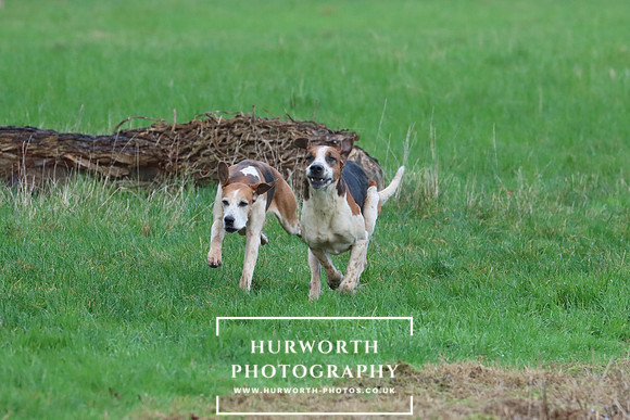 Hurworth Hunt 287