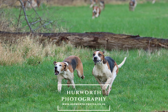 Hurworth Hunt 291