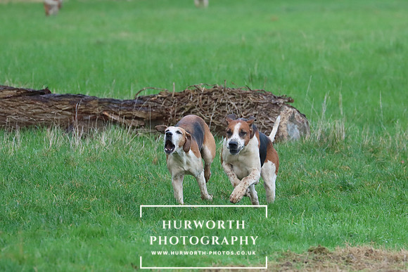 Hurworth Hunt 288