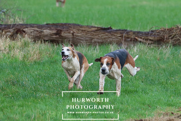 Hurworth Hunt 289