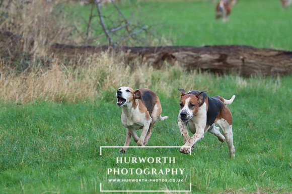 Hurworth Hunt 292