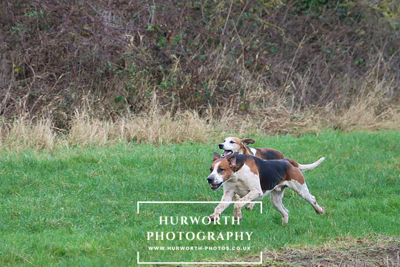 Hurworth Hunt 296
