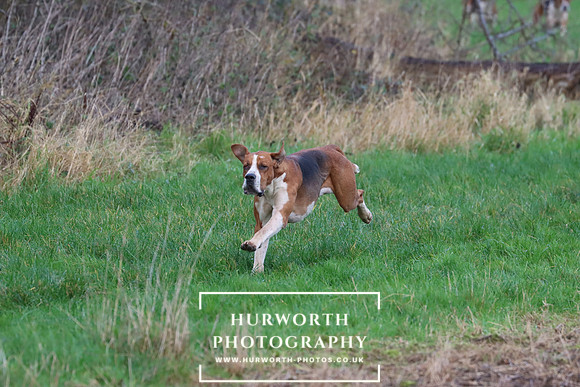Hurworth Hunt 298