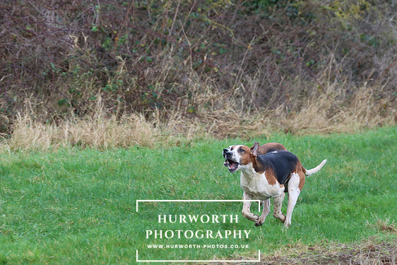 Hurworth Hunt 295