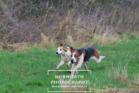 Hurworth Hunt 294