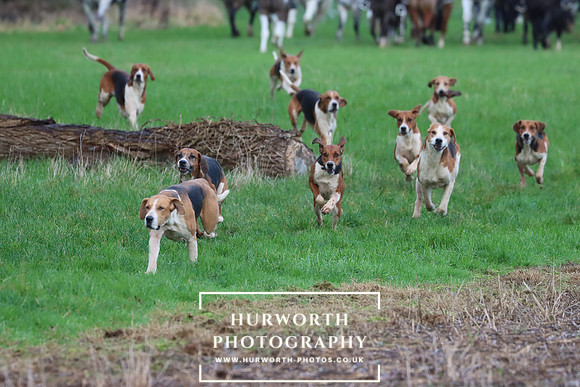 Hurworth Hunt 301