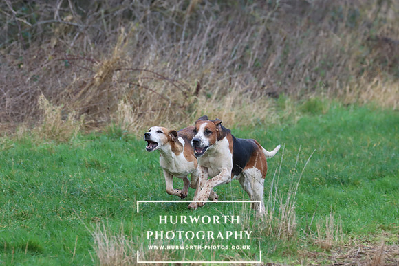 Hurworth Hunt 293