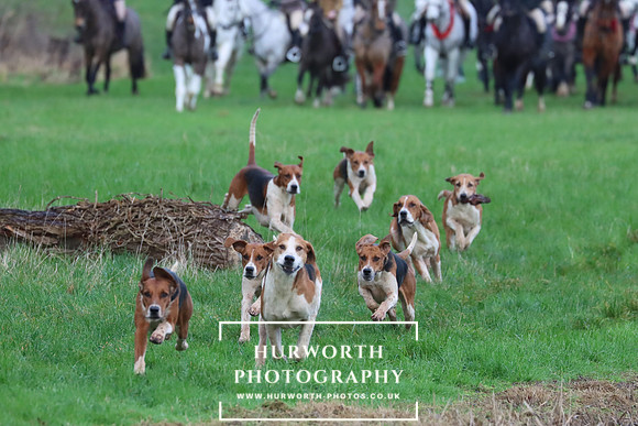 Hurworth Hunt 303