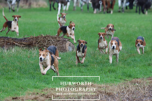 Hurworth Hunt 300