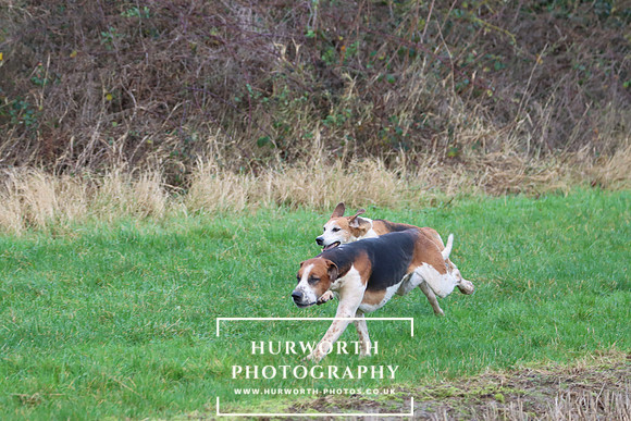 Hurworth Hunt 297