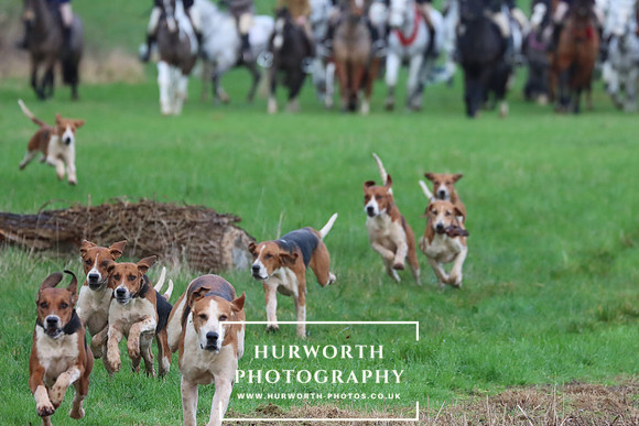 Hurworth Hunt 305