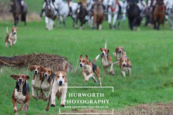 Hurworth Hunt 304