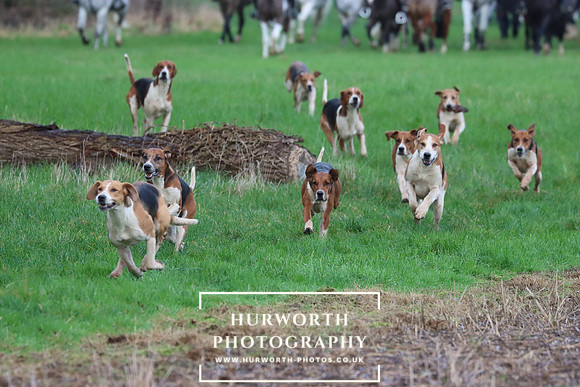 Hurworth Hunt 302