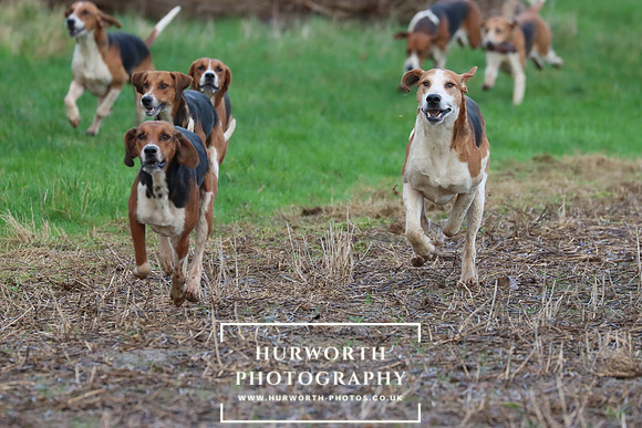 Hurworth Hunt 306