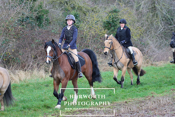 Hurworth Hunt 388