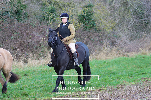 Hurworth Hunt 393