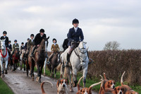Hurworth Hunt 437