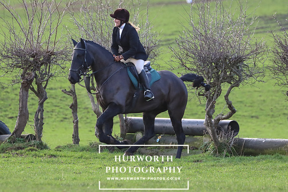 Hurworth Hunt 697